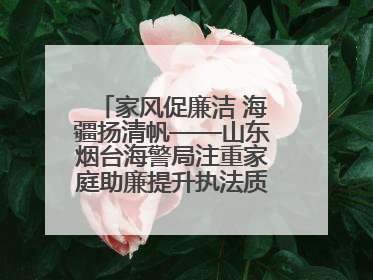 家风促廉洁 海疆扬清帆——山东烟台海警局注重家庭助廉提升执法质效侧记