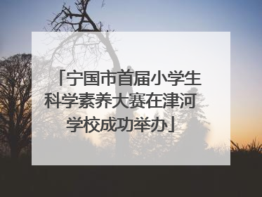 宁国市首届小学生科学素养大赛在津河学校成功举办