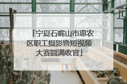 宁夏石嘴山市惠农区职工摄影暨短视频大赛圆满收官