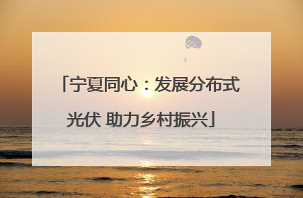 宁夏同心：发展分布式光伏 助力乡村振兴