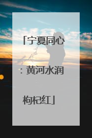 宁夏同心：黄河水润枸杞红