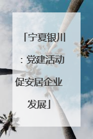 宁夏银川：党建活动促安居企业发展