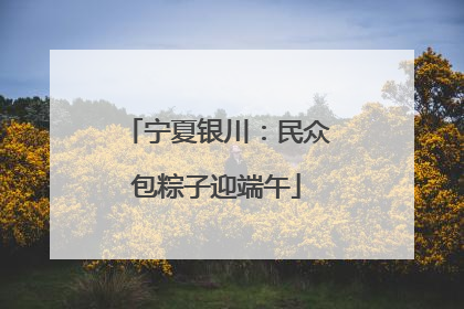 宁夏银川：民众包粽子迎端午
