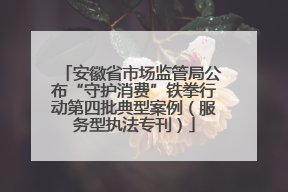 安徽省市场监管局公布“守护消费”铁拳行动第四批典型案例（服务型执法专刊）