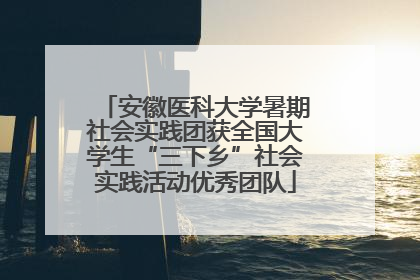 安徽医科大学暑期社会实践团获全国大学生“三下乡”社会实践活动优秀团队
