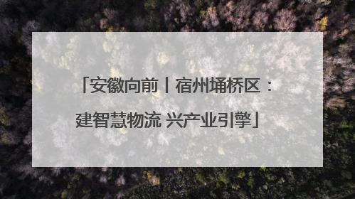 安徽向前丨宿州埇桥区：建智慧物流 兴产业引擎