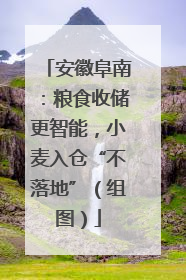 安徽阜南：粮食收储更智能，小麦入仓“不落地”（组图）