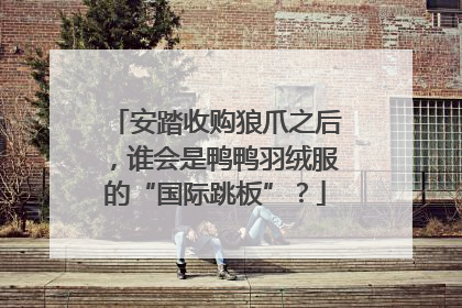 安踏收购狼爪之后，谁会是鸭鸭羽绒服的“国际跳板”？