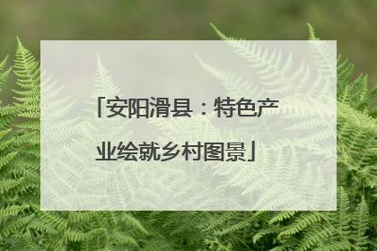 安阳滑县：特色产业绘就乡村图景
