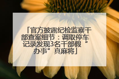 官方披露纪检监察干部查案细节：调取停车记录发现3名干部假“办事”真麻将