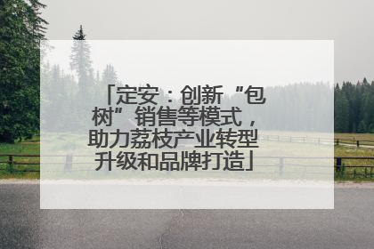 定安：创新“包树”销售等模式，助力荔枝产业转型升级和品牌打造