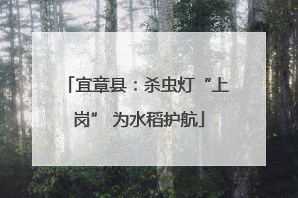 宜章县：杀虫灯“上岗” 为水稻护航