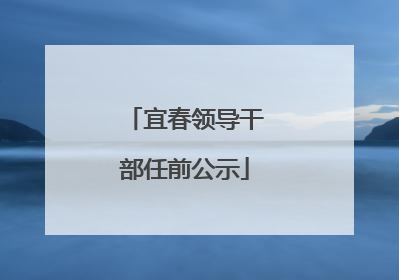 宜春领导干部任前公示