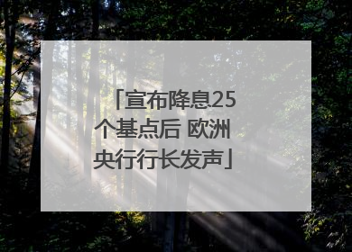 宣布降息25个基点后 欧洲央行行长发声