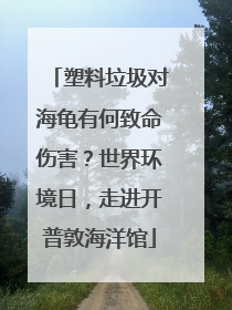 塑料垃圾对海龟有何致命伤害？世界环境日，走进开普敦海洋馆
