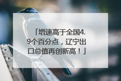增速高于全国4.9个百分点，辽宁出口总值再创新高！