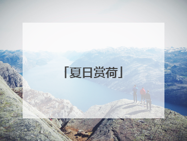夏日赏荷