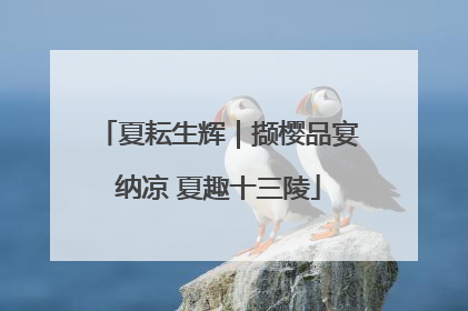 夏耘生辉｜撷樱品宴纳凉 夏趣十三陵