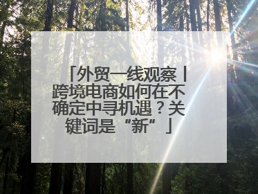 外贸一线观察丨跨境电商如何在不确定中寻机遇？关键词是“新”