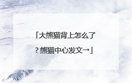 大熊猫背上怎么了？熊猫中心发文→