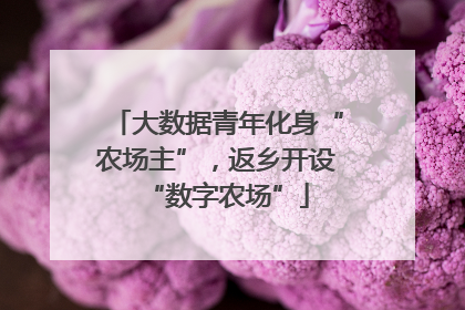 大数据青年化身“农场主”，返乡开设“数字农场”