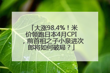大涨98.4%！米价领跑日本4月CPI，前首相之子小泉进次郎将如何破局？