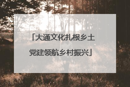 大通文化扎根乡土 党建领航乡村振兴