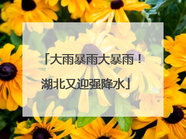 大雨暴雨大暴雨！湖北又迎强降水
