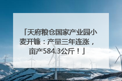 天府粮仓国家产业园小麦开镰：产量三年连涨，亩产584.3公斤！