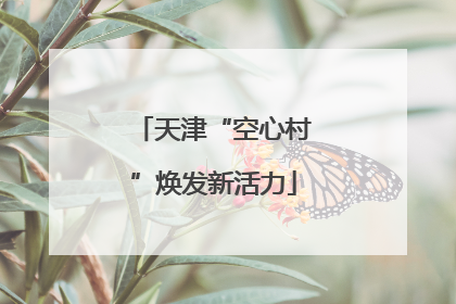 天津“空心村”焕发新活力