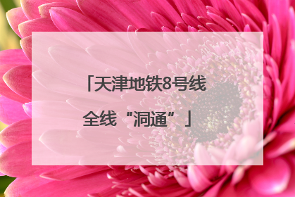 天津地铁8号线全线“洞通”