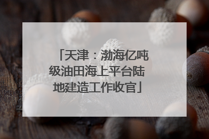 天津：渤海亿吨级油田海上平台陆地建造工作收官