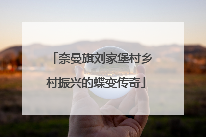 奈曼旗刘家堡村乡村振兴的蝶变传奇