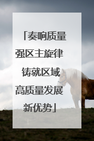奏响质量强区主旋律 铸就区域高质量发展新优势