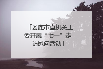 娄底市直机关工委开展“七一”走访慰问活动