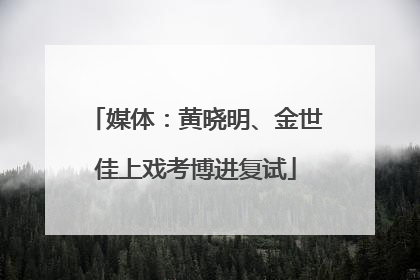 媒体：黄晓明、金世佳上戏考博进复试