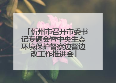 忻州市召开市委书记专题会暨中央生态环境保护督察边督边改工作推进会