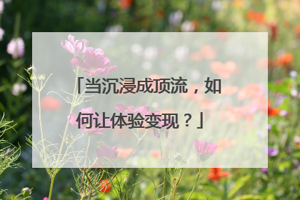 当沉浸成顶流，如何让体验变现？