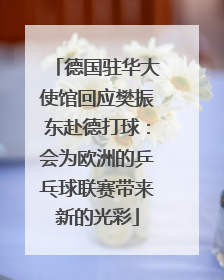 德国驻华大使馆回应樊振东赴德打球:会为欧洲的乒乓球联赛带来新的光彩