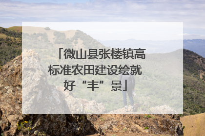 微山县张楼镇高标准农田建设绘就好“丰”景