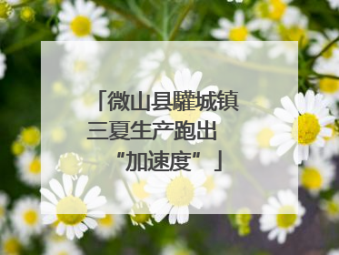 微山县驩城镇三夏生产跑出 “加速度”