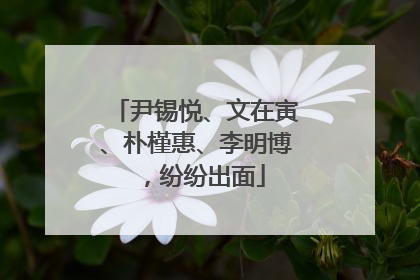 尹锡悦、文在寅、朴槿惠、李明博，纷纷出面