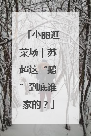 小丽逛菜场｜苏超这“鹅”到底谁家的？