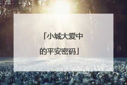 小城大爱中的平安密码