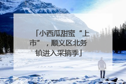 小西瓜甜蜜“上市”，顺义区北务镇进入采摘季