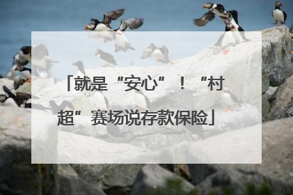 就是“安心”！“村超”赛场说存款保险