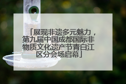 展现非遗多元魅力，第九届中国成都国际非物质文化遗产节青白江区分会场启幕