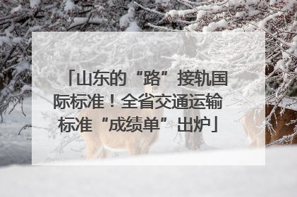 山东的“路”接轨国际标准！全省交通运输标准“成绩单”出炉