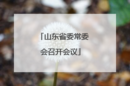 山东省委常委会召开会议