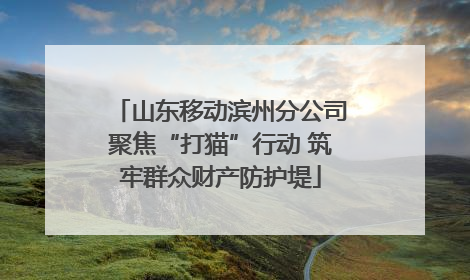 山东移动滨州分公司聚焦“打猫”行动 筑牢群众财产防护堤